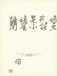 梅姨是我妈妈的闺蜜小说免费阅读