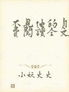 不见他的月光免费阅读全文