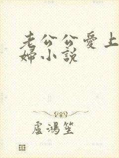 老公公爱上儿媳妇小说