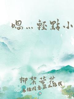 嗯…轻点小说