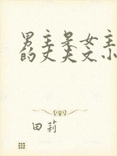 男主是女主姐姐的丈夫文小说