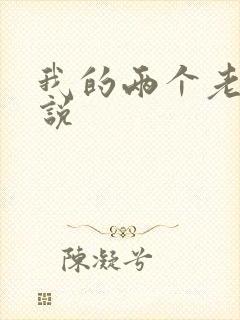 我的两个老公小说