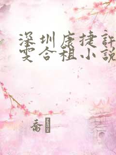 深圳康捷许剑小雯合租小说