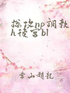 总攻np调教高h后宫bl