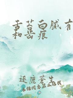 舌苔白腻有裂纹和齿痕