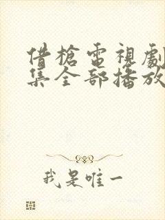 借枪电视剧40集全部播放