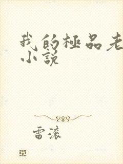 我的极品老婆听小说