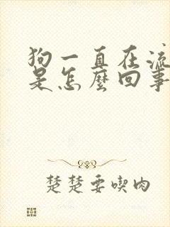 狗一直在流口水是怎么回事