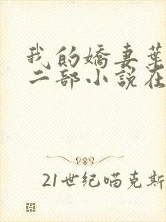 我的娇妻叶晨第二部小说在线阅读