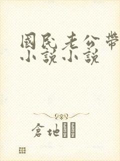 国民老公带回家小说小说