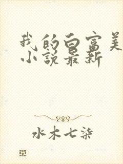 我的白富美老婆小说最新