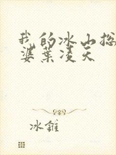 我的冰山总裁老婆叶凌天