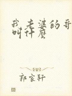 我老婆的哥哥我叫什么