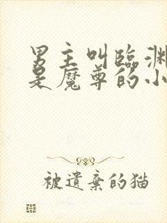 男主叫临渊女主是魔尊的小说