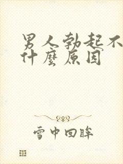 男人勃起不够硬什么原因