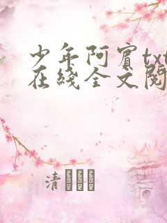 少年阿宾txt在线全文阅读