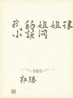 我的姐姐很弟控小说网