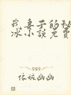 我妻子的秘密王冰小说免费阅读