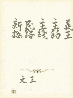 新民主主义革命总路线的主要内容是什么