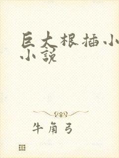 巨大根插小处女小说