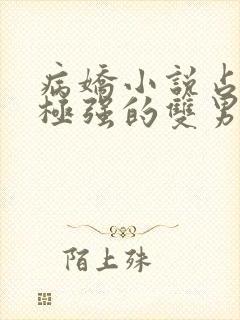 病娇小说占有欲极强的双男主