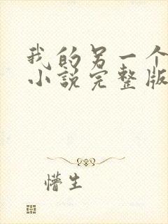 我的另一个老公小说完整版阅读全文