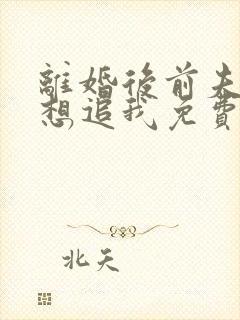 离婚后前夫总是想追我免费阅读全文章节