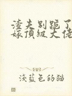 渣夫别跪了夫人嫁顶级大佬显怀啦 小说