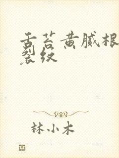 舌苔黄腻根部有裂纹