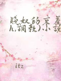 贱奴的哀羞(高h,调教)小说