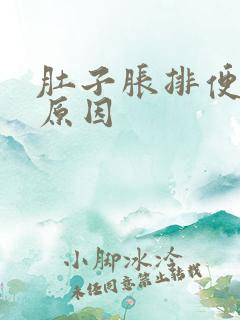 肚子胀排便困难原因