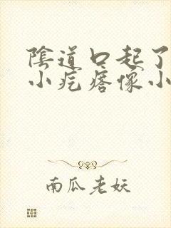 阴道口起了好多小疙瘩像小米粒