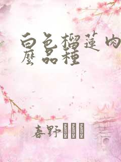 白色榴莲肉是什么品种