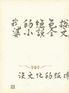 我的绝色总裁老婆小说全文免费阅读