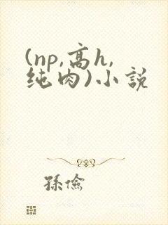 (np,高h,纯肉)小说