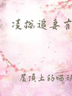 凌总追妻有点甜