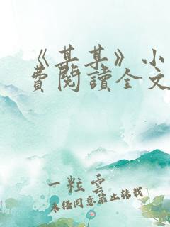 《某某》小说免费阅读全文