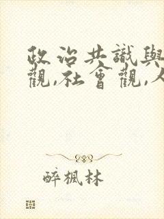 政治共识与世界观,社会观,人生观相同.