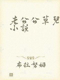 老公公草儿媳妇小说
