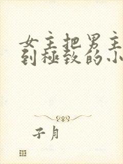 女主把男主囚禁到极致的小说