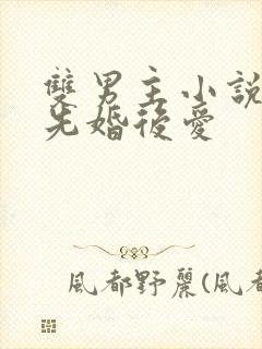 双男主小说推荐先婚后爱