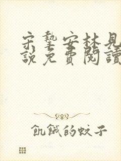 宋挚安林见a小说免费阅读