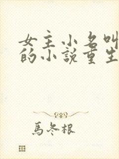 女主小名叫朵朵的小说重生