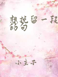 想挽留一段感情的句