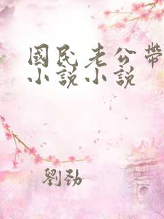 国民老公带回家小说小说