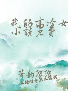 我的高冷女总裁小说免费