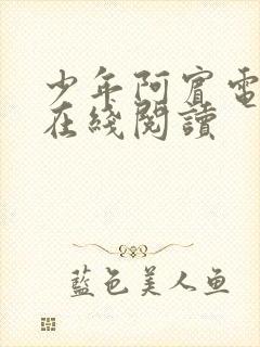 少年阿宾电子书在线阅读