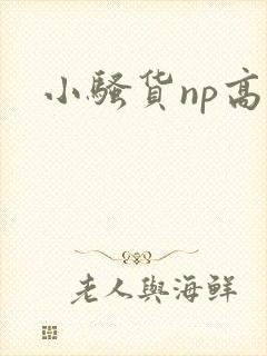 小骚货np高h