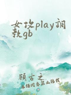 女攻play调教gb