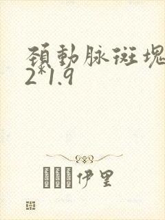 颈动脉斑块9.2*1.9